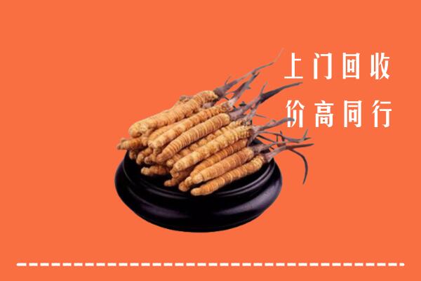 高价求购：彰化县回收散虫草