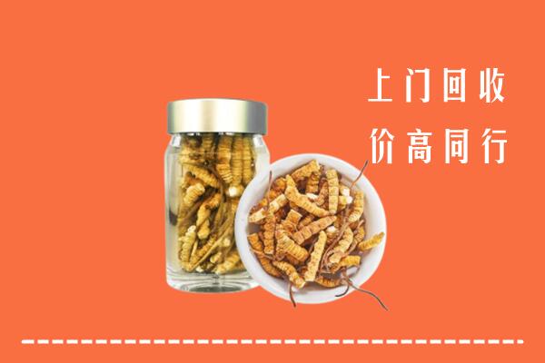 收购行情：彰化县回收冬虫夏草
